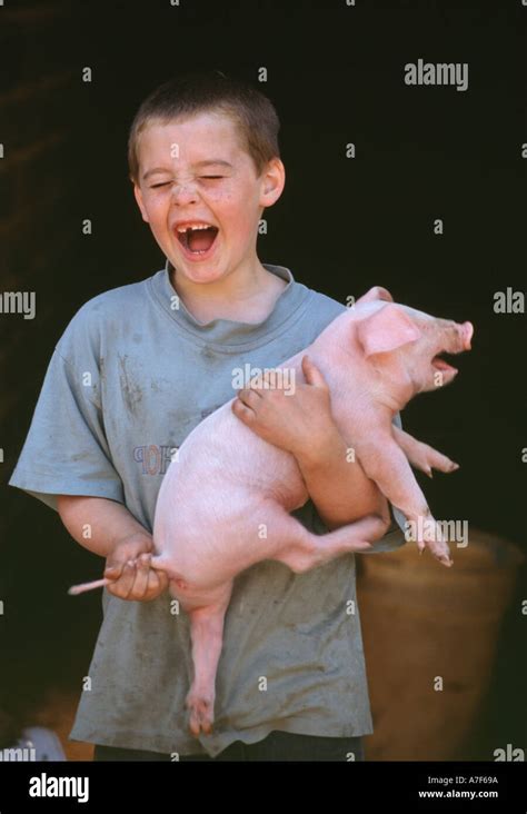 Boy and pig squeal together Stock Photo - Alamy