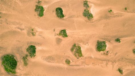 Desert Dunes 01 Battlemaps - vrogue.co