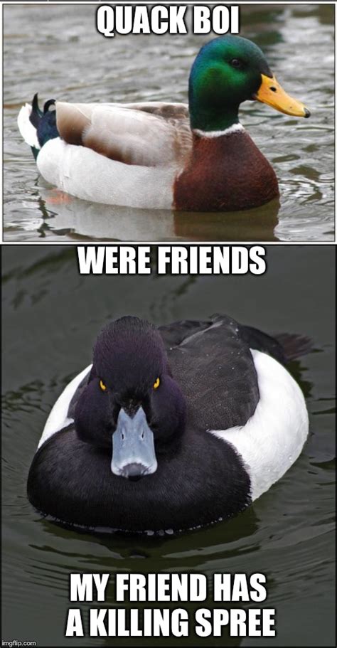 Image tagged in memes,actual advice mallard,angry duck - Imgflip