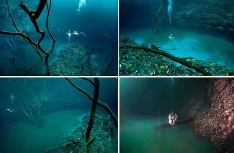 Underwater River in Mexico | Underwater river, Underwater, Story inspiration