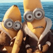 Minions Banana GIFs | Tenor