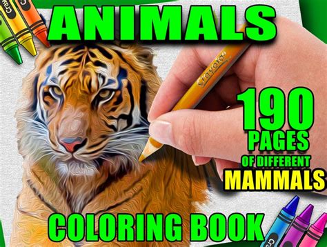 Animals Printable Coloring Pages for Children and Adults, Coloring Book PDF, Animal Coloring ...