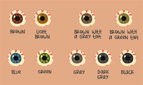 A set of multicolored human eyeballs with signed color options. Variations of the pupil of the ...