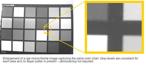 When Monochrome Cameras are the Best Solution Teledyne Lumenera