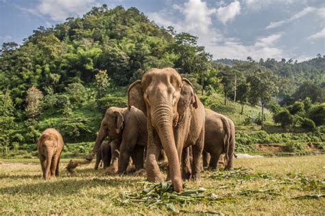 Nationalparks Thailand: Diese 17 Parks sind ein MUSS - Urlaubstracker.at