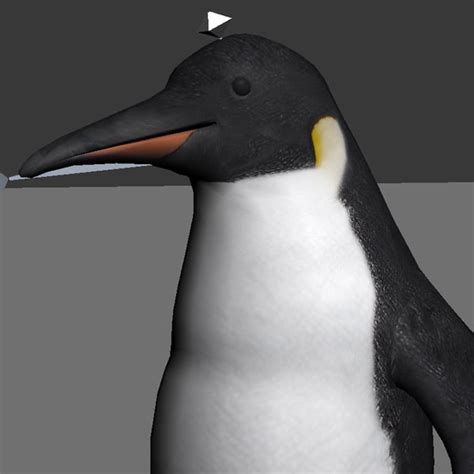 penguin flying animation max