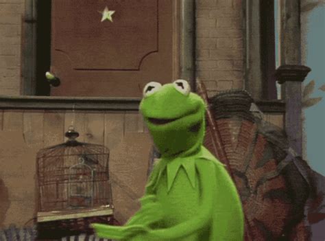 Muppets Muppet Show GIF - Muppets Muppet Show Kermit - Discover & Share GIFs