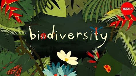 Why is biodiversity so important? - Kim Preshoff - YouTube