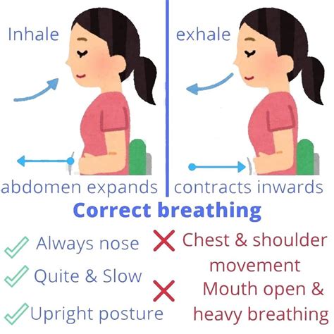 Correct breathing | Breathing exercises, Belly breathing, Breathe