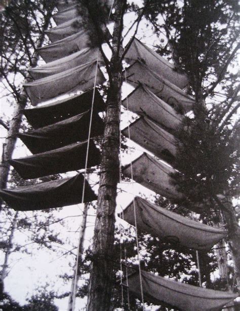 several canoes are hanging from the trees in black and white photo, while another boat is on the ...