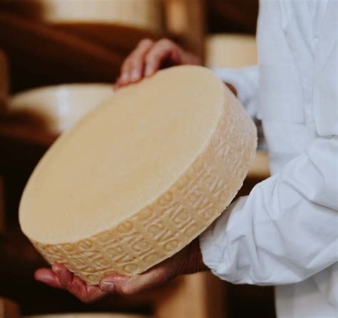 Savoring Piave DOP Cheese with Lou Di Palo - Santé Magazine