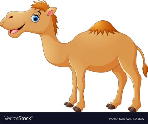 Cute camel cartoon Royalty Free Vector Image - VectorStock