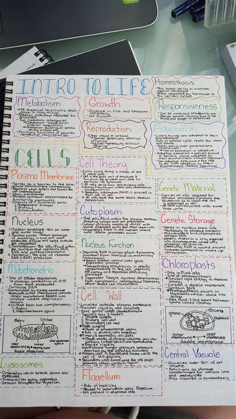 News from globe | Nursing school notes, Biology notes, High school biology