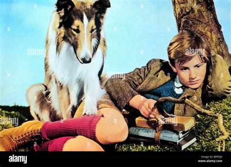 LASSIE, RODDY MCDOWALL, LASSIE COME HOME, 1943 Stock Photo - Alamy