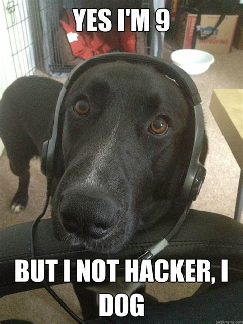 Yes I'm 9 But I not hacker, I dog - Misc - quickmeme