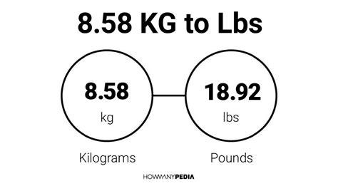 8.58 KG to Lbs – Howmanypedia.com