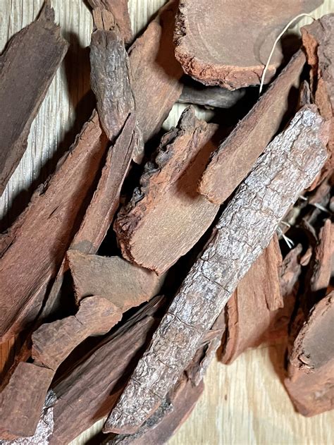 CINCHONA BARK Aka Peruvian Bark 1 Oz. cinchona Succirubra - Etsy