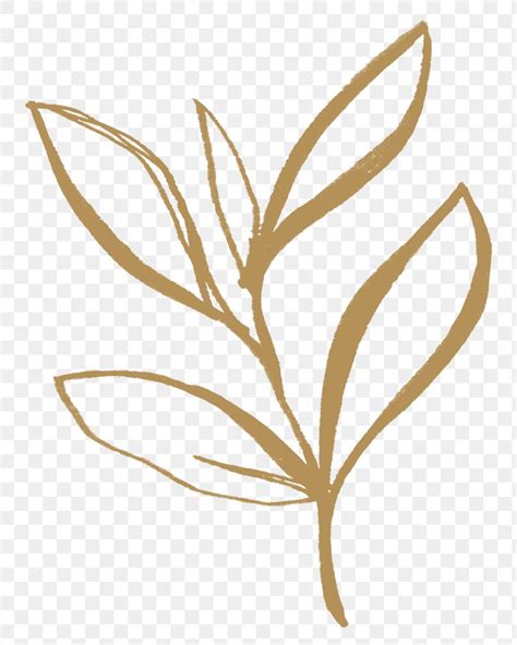 Png leaf aesthetic sticker, gold illustration, remixed from vintage public domain images | free ...