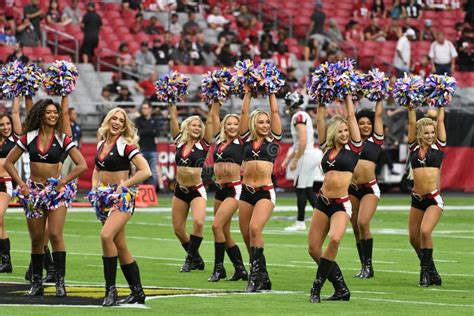 Arizona Cardinals Cheerleaders Editorial Photo - Image of cardinals, cheerladers: 202338746