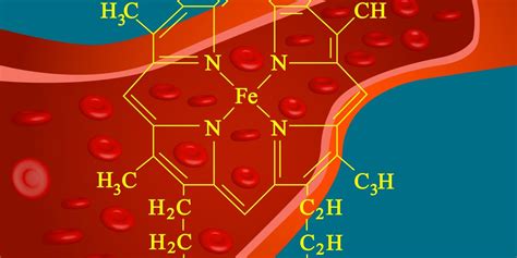 FUNCTION AND SYNTHESIS OF HEMOGLOBIN - Medical Yukti