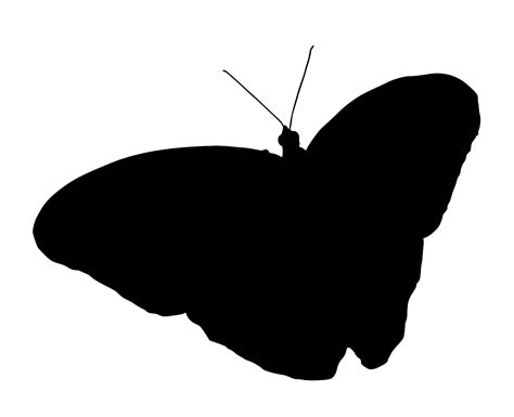 SVG > nature animal butterfly - Free SVG Image & Icon. | SVG Silh