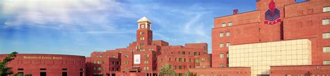 University of Central Punjab - Ranking, Acceptance Rate | Pakistan