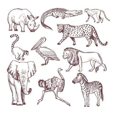 Hand drawn illustrations of african animals By ONYX | TheHungryJPEG