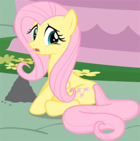 Fluttershy Crying - My Little Pony Friendship is Magic Photo (36155025 ...