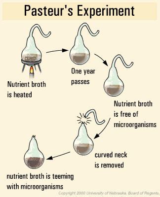 This imagine shows French Physician Louis Pasteur's experiment in which he disproved the ...