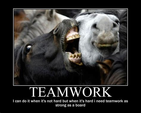 Humorous Teamwork Quotes. QuotesGram