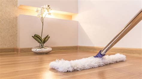 7 Best Mop for Vinyl Plank Floors