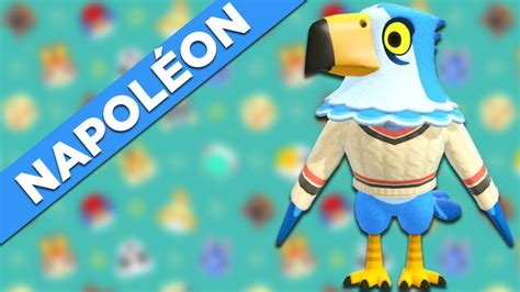 Napoléon sur Animal Crossing New Horizons : tout savoir sur cet habitant - Millenium
