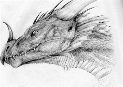 Realistic Dragon Head Drawing