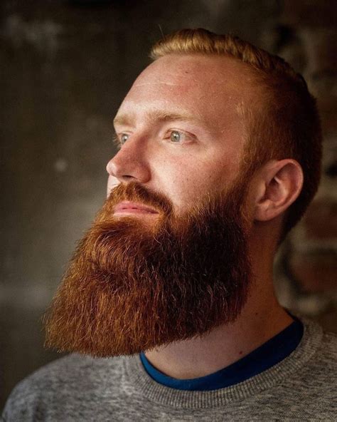 Pin by Kevin Varner on Bearded Style | Red hair men, Hair and beard ...