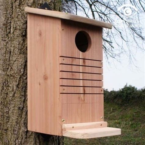 Red Squirrel Nest Box - Bird Houses and Nest boxes - Aviaries ...