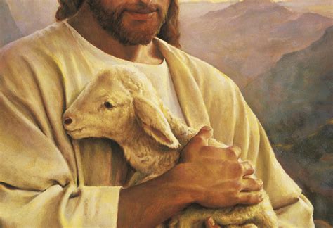 Lost Sheep | Christian Devotions