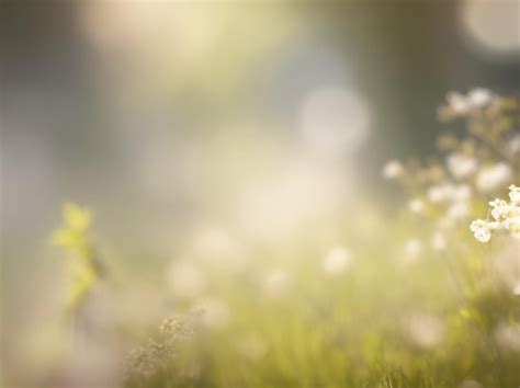 Premium AI Image | Blurred Nature Background A Dreamy Natural Landscape