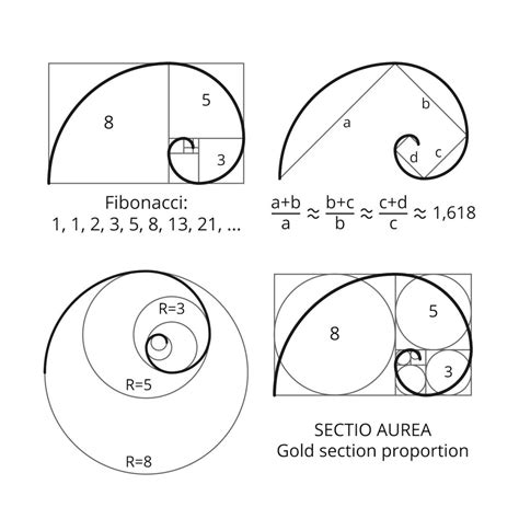 What Is the Fibonacci Sequence? | Geometrie kunst, Heilige geometrie symbole, Heilige geometrie