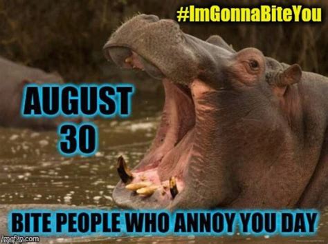 August 30th: Bite People Who Annoy You Day - Hippo - #ImGonnaBiteYou - Imgflip