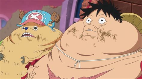 Luffy & Chopper - One Piece Anime Episode 786 | Whole Cake Island Arc ...