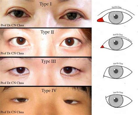 Hey guys! I tried to make a guide to eye shapes, hope you enjoy!