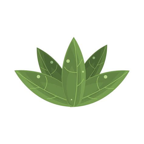 jungle leaves foliage 6098237 Vector Art at Vecteezy