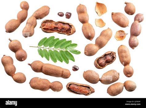 Set of ripe tamarind pods, leaves and tamarind seeds isolated on white background Stock Photo ...