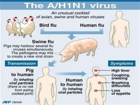 Insights into Editorial: Lessons not learnt: On swine flu - INSIGHTS