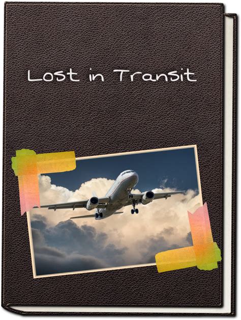 Lost in Transit, book by Astronomicorn