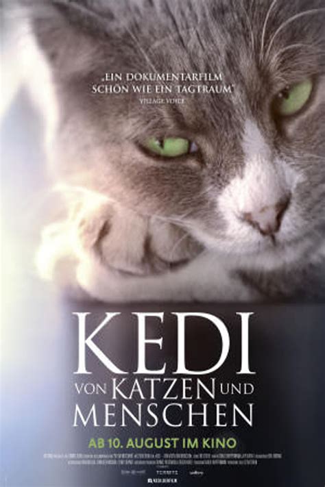 Kedi (2017) - Posters — The Movie Database (TMDb)