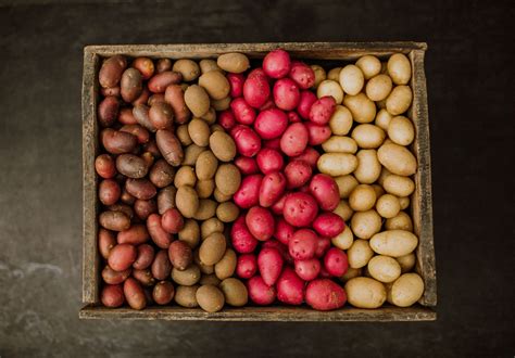 Seed Potatoes Tasmania - Agronico - Tasmanian certified seed potatoes