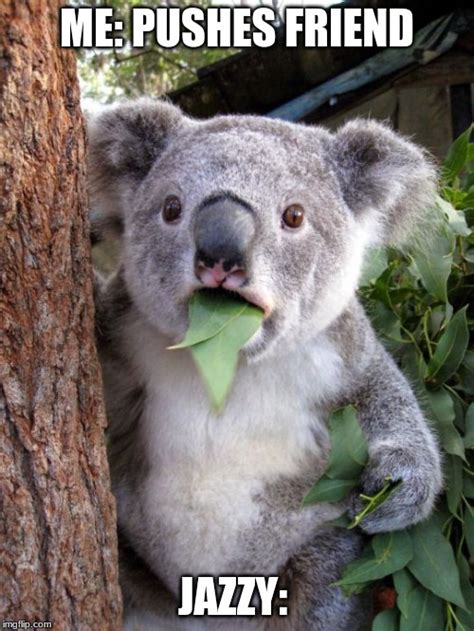 shocked koala Memes - Imgflip