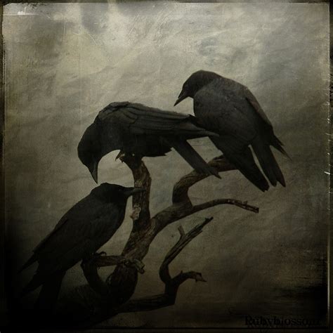 876 best images about Best ART Crows & Ravens on Pinterest