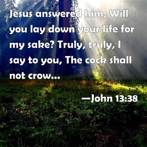 John 13:38 Jesus answered him, Will you lay down your life for my sake? Truly, truly, I say to ...